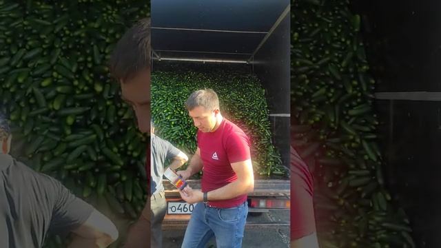на софийской базе 😍😍😍 смотреть онлайн