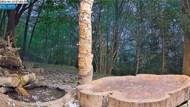 Утром погода чудесная#Польша смотреть онлайн