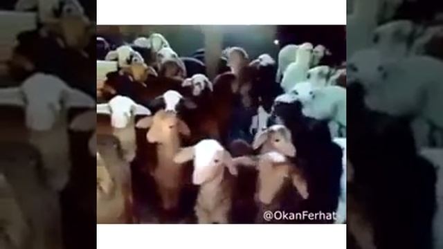 Vot i pogovorili смотреть онлайн
