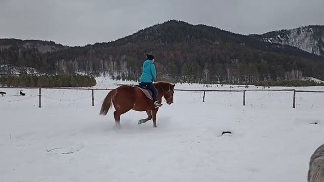 Продолжаем заниматься. смотреть онлайн