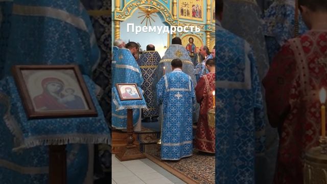 Премудрость, просим! Красота! Слава Богу за всё!..☀️ Истинно! смотреть онлайн