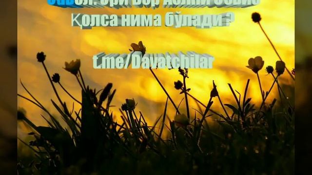 Эри Бор Аёлни Севиб қолса нима бўлади? смотреть онлайн