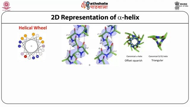 Hierarchical structures peptides and proteins смотреть онлайн