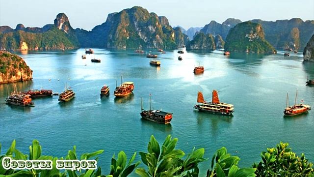 ➤Мечтаешь переехать в другую страну?➤ смотреть онлайн