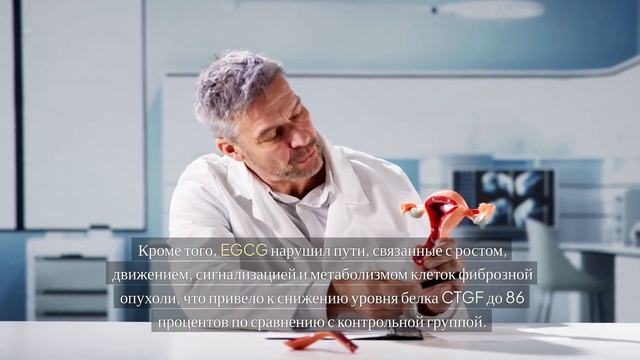 Сила зеленого чая смотреть онлайн