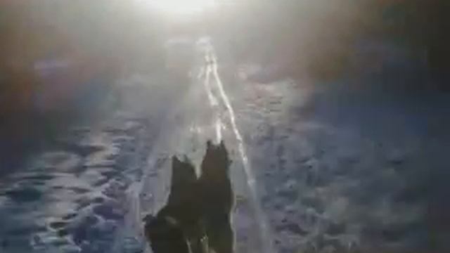 Мы едем к солнцу с Селеной и Радой смотреть онлайн