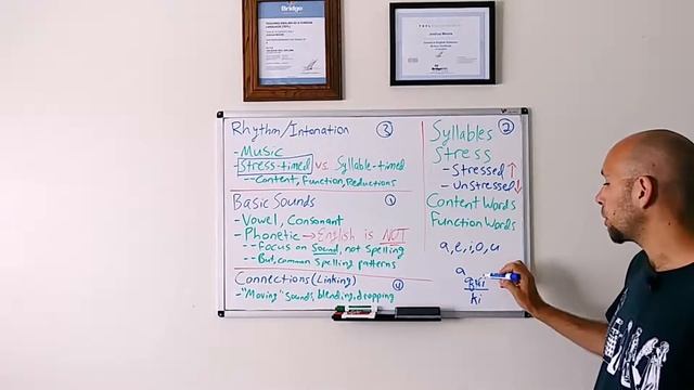 English Hacks Pronunciation Course | #1 (Part 1) Key Concepts and Terms: Basic Sounds смотреть онлайн
