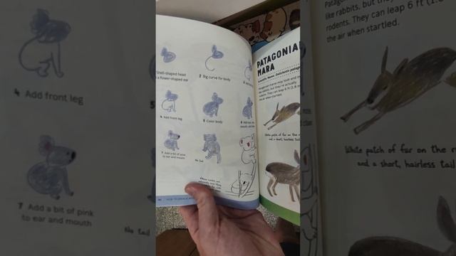 Обзор на детские книги в аэропорту Вьетнама смотреть онлайн
