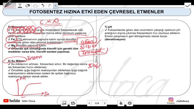 [ARŞİV] 9) Fotosentez Hızı (Çevresel Etmenler) - Kemosentez - 12. Sınıf Biyoloji (AYT #32) смотреть онлайн