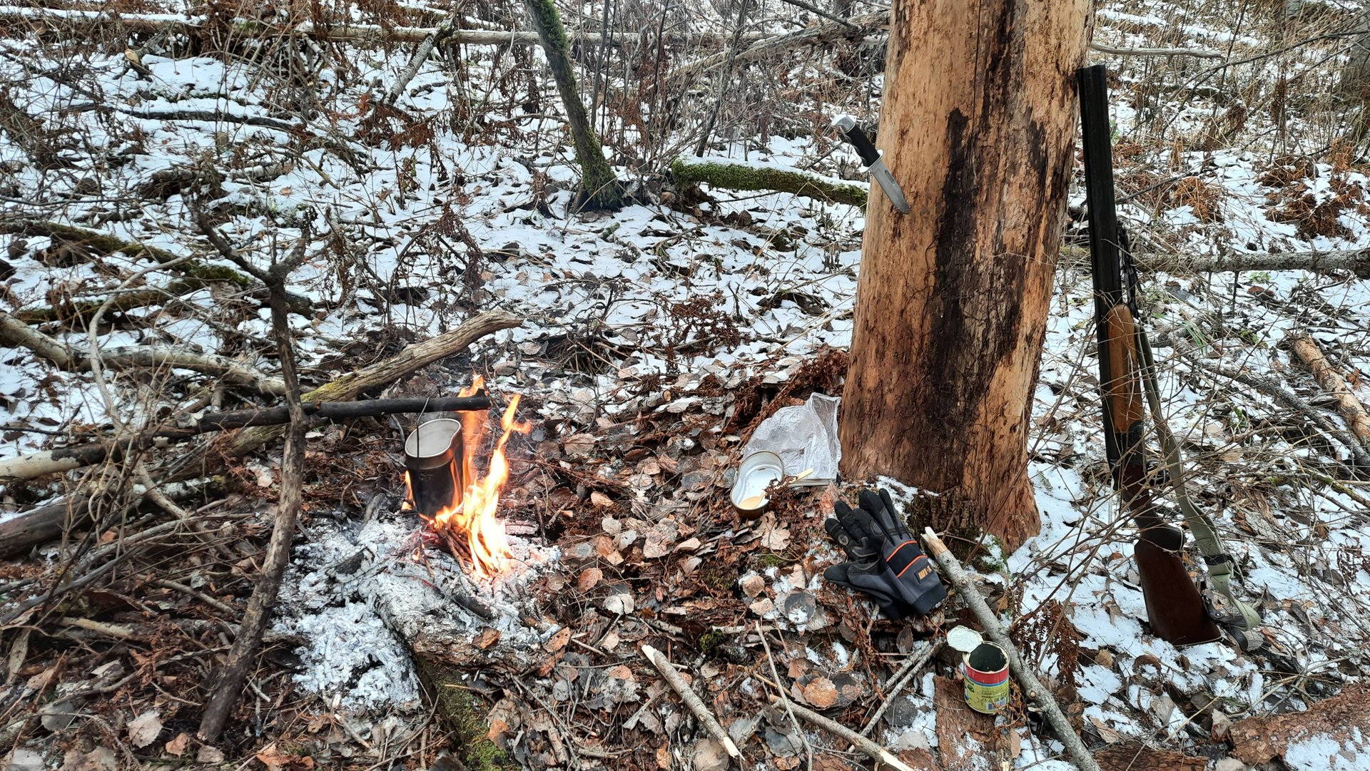 Осень 2022. День в тайге смотреть онлайн