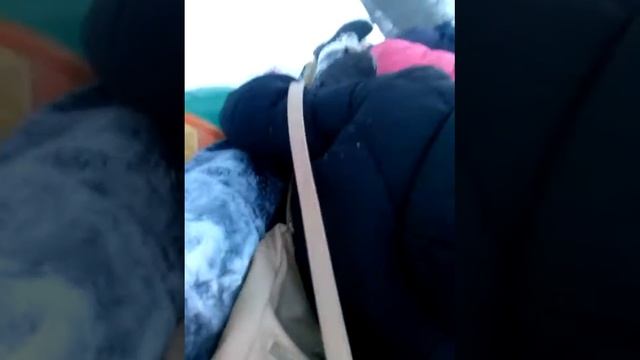 Ватрушки) смотреть онлайн