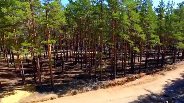 Группа «Целиноград» Песня «Казахстан» смотреть онлайн