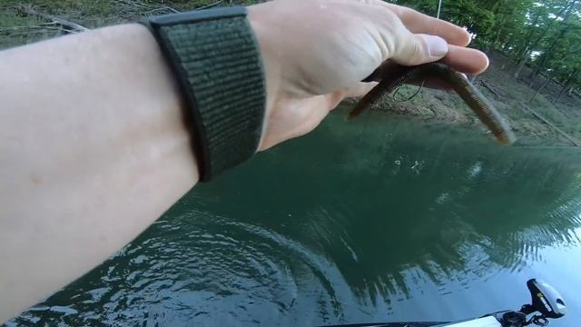 LAKE CAMPING ON An ISLAND! | Fishing The Bass Spawn In Oklahoma