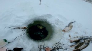 Рыбалка у чёрной дыры. Сорок первая серия.