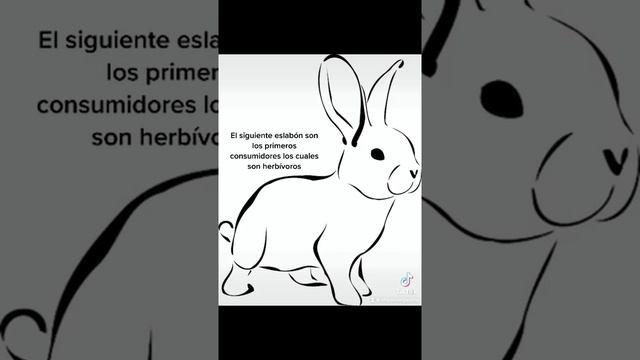 Act. Integradora_ESDO