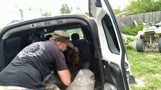 Большая попа - месячный баран смотреть онлайн