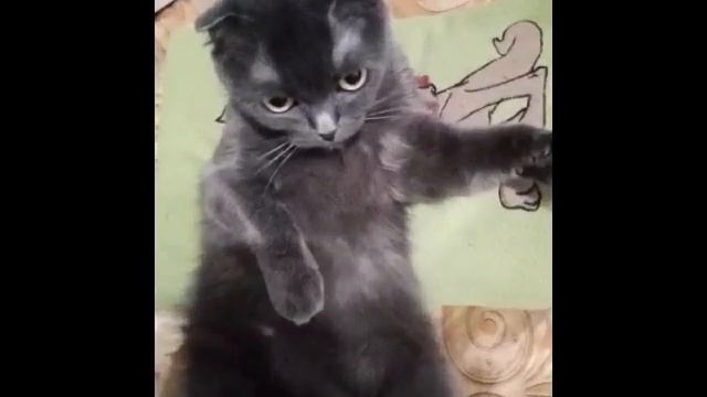 После сытного обеда, по закону Архимеда.... смотреть онлайн