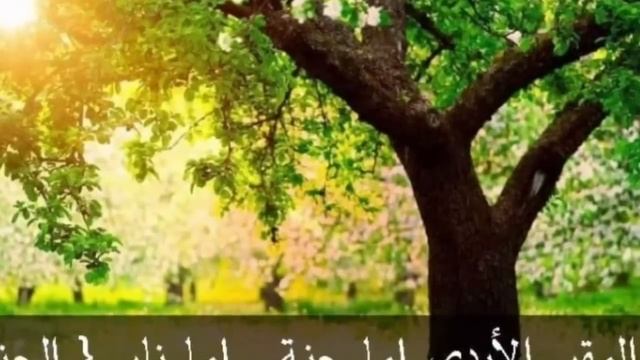 waxey arrintaan dadkii meydkeeda dhaqayey ku noqotey lama filaan | gabar wejigeedu is bedeley iyado смотреть онлайн
