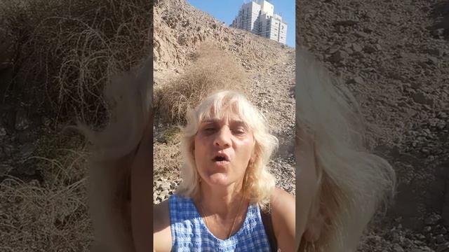 Коль в Мире правды нет, сохрани душу. Стихи. Эстэр. смотреть онлайн