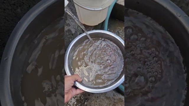 chuvalchang чувалчанг смотреть онлайн