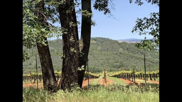 Gregory Graham Winery California. Тестируем калифорнийские вина смотреть онлайн