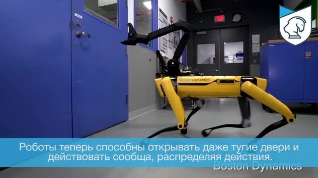Boston Dynamics научили своего робота-собаку SpotMini открывать двери