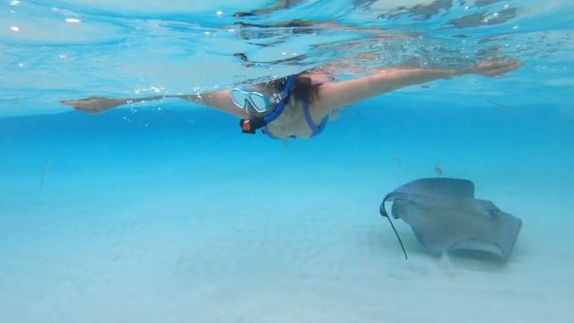 Amazing Cayman Islands - Grand Cayman, Stingray City, Seven Mile Beach (Kajmany)