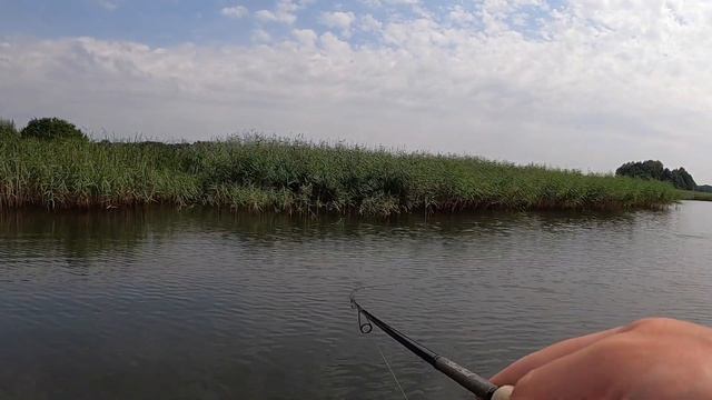 Шалений жор крупних щук на затоках дніпра!!! Рибалка на спінінг!!! Літо кінець серпня 2022 🎣😍🇺🇦 смотреть онлайн