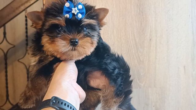 Красивый мальчик смотреть онлайн