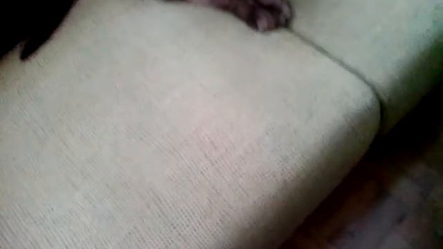 Gata y Yo Con Lana смотреть онлайн