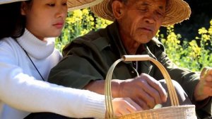 给外公做最爱吃的油菜尖，这道菜我也百吃不厌！【滇西小哥】