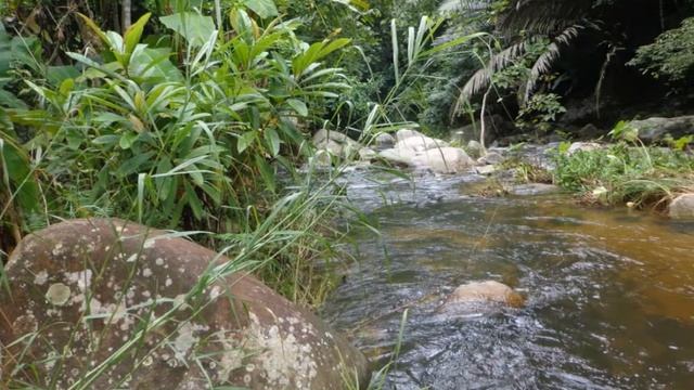 Beautiful Sai Bor Waterfall Lan Sak, Uthai Thani, Thailand смотреть онлайн