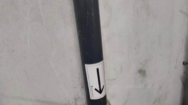 How to clean a green pool malayalam swimming pool смотреть онлайн
