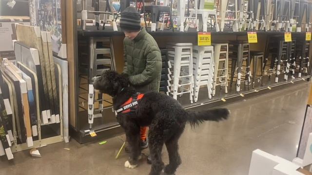 Autism Service Dog Max and his boy are a great team! смотреть онлайн