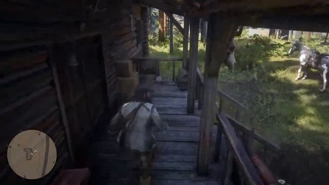 Weird grass camera clipping at Manzanita Post. (Possible glitch) смотреть онлайн