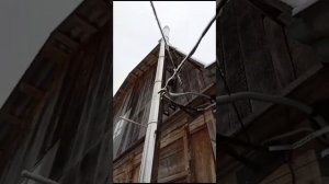 Котел Диво 20 кВт. Отзыв клиента.