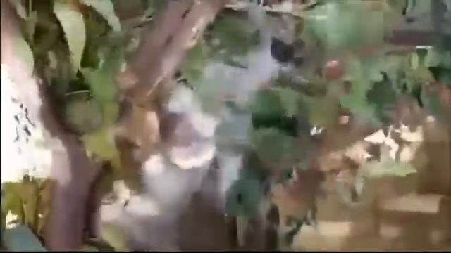 лучшее видео YouTube 4 смотреть онлайн