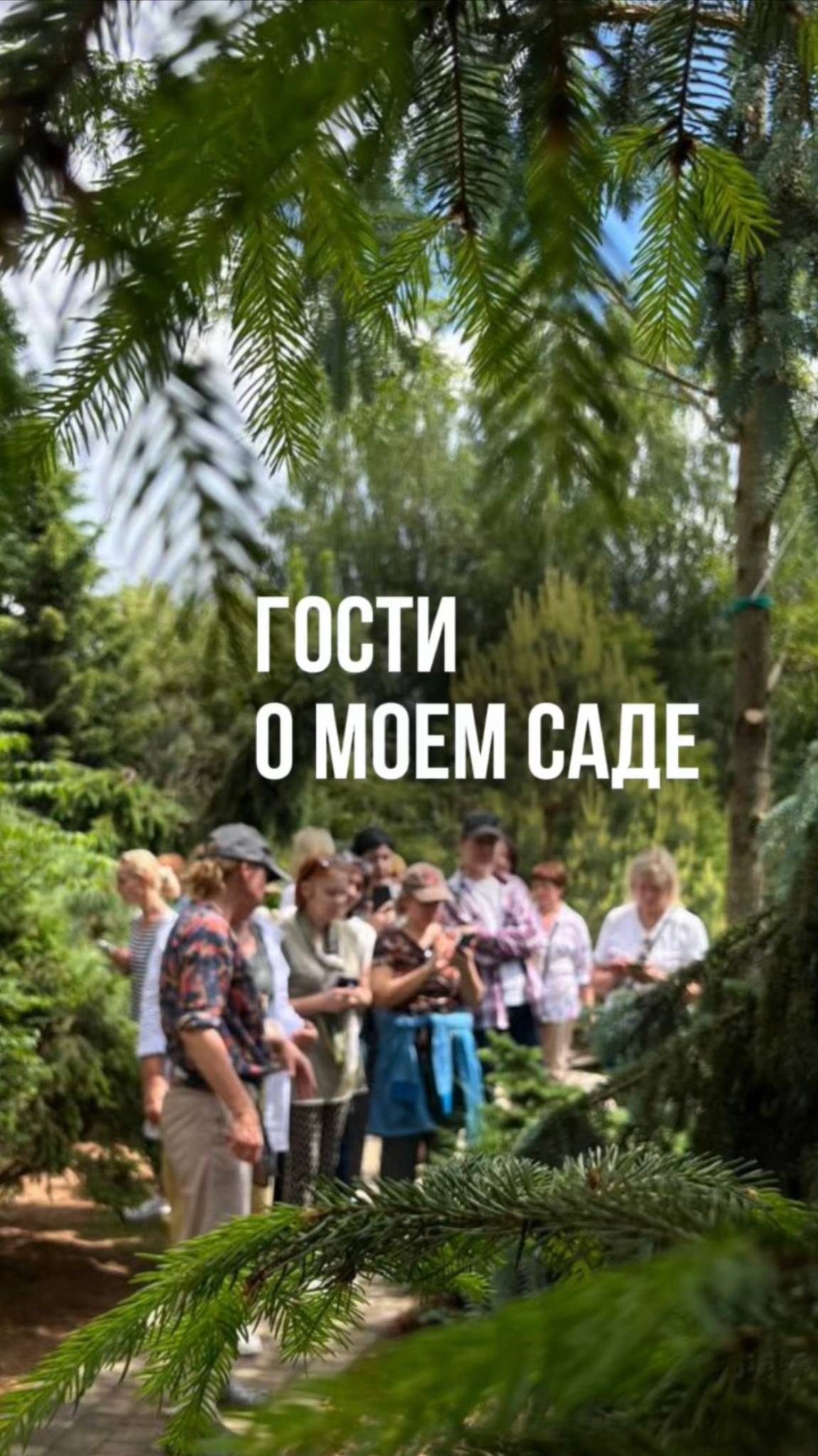 Что говорят гости о моем саде? Каждый замечает в нем что-то свое! А что вам нравится в моём саду? смотреть онлайн