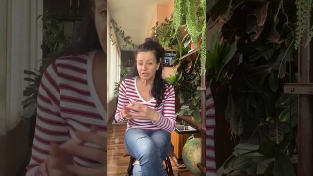 Как да използваме семената от кориандър? смотреть онлайн