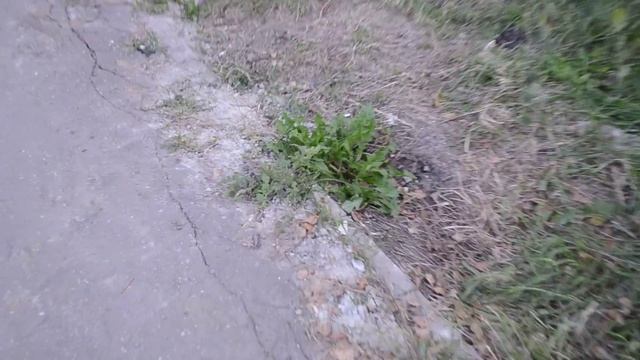 результаты деятельности МКП Теплоснабжение г. Пензы смотреть онлайн