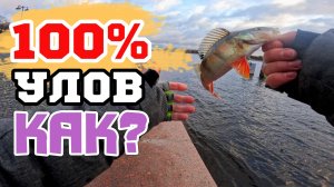 ☝️УСПЕШНАЯ РЫБАЛКА на ОКУНЯ! Моя ЭФФЕКТИВНАЯ Практика и СОВЕТЫ! #микроджиг #стритфишинг #рыбалка