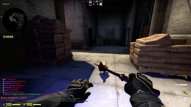 курица прототип 5000