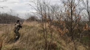 Дизель- Немецкий Ягдтерьер. Охота