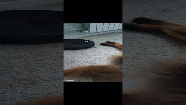 1000105616.mp4 смотреть онлайн