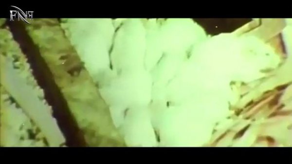 Universe 25 Documentary | "Mouse Utopia"