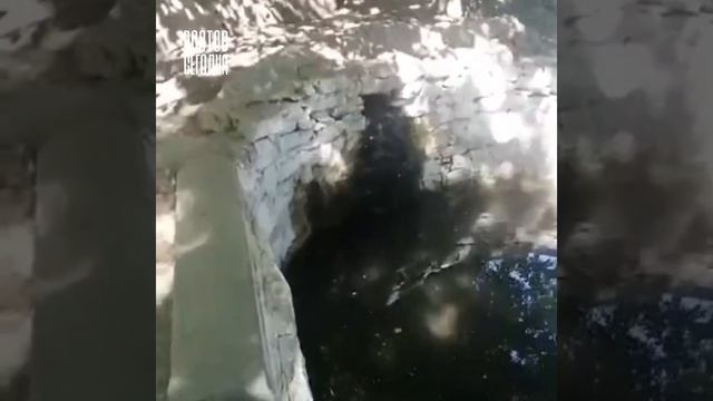 В Ростове пересох популярный родник «Природный» смотреть онлайн