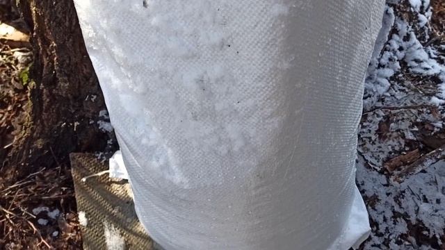 Кухня в стиле вьетнамской кухни