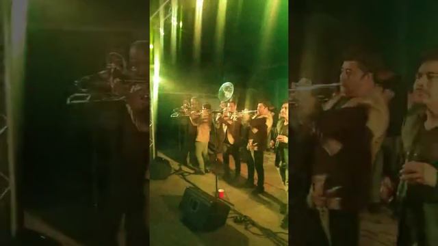 Gregorio saavedra y La Banda Agave Azul смотреть онлайн