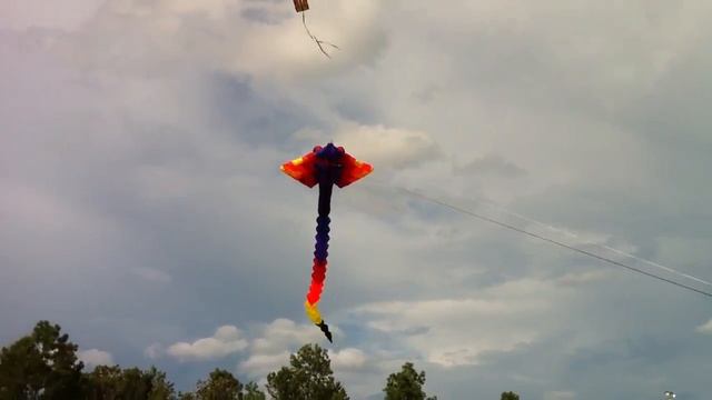 Our New Mini Manta Ray's Debut Flight смотреть онлайн