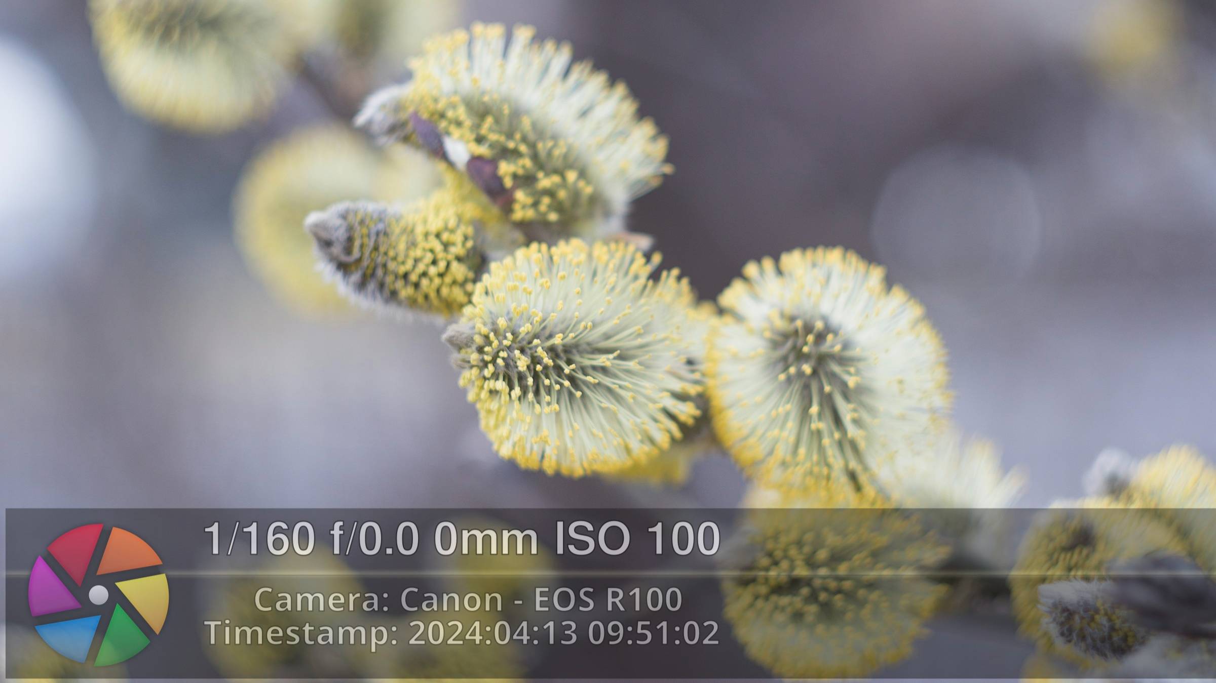 Darktable_#1_Обзор смотреть онлайн